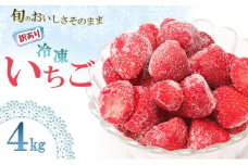 訳あり いちご 白木のいちご 旬のおいしさそのまま 冷凍いちご 4kg わけあり イチゴ 苺 果物 デザート ※配送不可：沖縄・離島