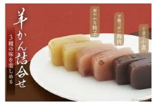 3種の羊羹詰め合わせ [菓子司 梅家 福岡県 筑紫野市 10021] 和菓子 羊羹 ようかん お菓子 おかし 詰合せ 3種 セット 食べ比べ