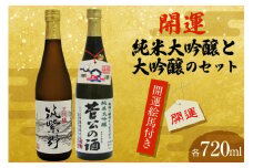 【開運絵馬付き】 開運大吟醸セット [大賀酒造 福岡県 筑紫野市 21761168] 純米大吟醸 大吟醸 日本酒 酒 お酒 晩酌 セット 2種 飲み比べ