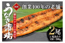 創業100年の味 鰻の蒲焼 2尾 秘伝のタレと山椒付き / 川魚料理 鯉ひろまつ 福岡県 筑紫野市