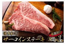 博多和牛 A4以上 サーロインステーキ 厳選部位 250g 1枚 [MEAT PLUS 福岡県 筑紫野市 21761014]