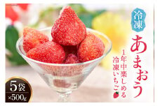 福岡の苺 あまおうをキンキンに冷やした 冷凍 あまおう 500g×5袋 [南国フルーツ 福岡県 筑紫野市 21760630]