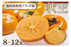 【先行受付】糖度が高く サクサクとした食感 柿 ! 福岡県開発 ブランド柿 「秋王」8～12玉 / 南国フルーツ / 福岡県 筑紫野市[21760120]