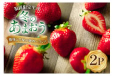 【期間限定発送】甘酸っぱい！酸味と甘味を楽しむ苺 福岡限定生産【冬】あまおう 2パック [南国フルーツ 福岡県 筑紫野市 21760092] 苺 いちご イチゴ フルーツ 果物 くだもの 冷蔵