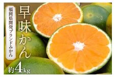 【期間限定発送】福岡のブランド オリジナル 極早生みかん「早味かん」約4kg[南国フルーツ 福岡県 筑紫野市 21760792]