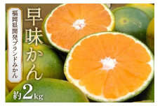 【先行受付】福岡のブランド オリジナル 極早生みかん「早味かん」約2kg[南国フルーツ 福岡県 筑紫野市 21760791]