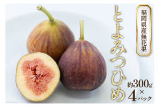 【先行受付】福岡県産無花果 やわらかく とろけるような甘さと食感 「とよみつひめ」約300g× 4パック / 南国フルーツ / 福岡県 筑紫野市[21760124]
