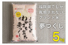 いつもの食卓に 「ちょっと贅沢な」福岡の美味しいお米 福岡の米 夢つくし 5kg [南国フルーツ 福岡県 筑紫野市 21760887]