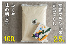 福岡のお米「元気つくし2.5kg」 & 福岡のブランド明太子「 ふくや 味の明太子100g」 詰め合わせ [南国フルーツ 福岡県 筑紫野市 21760221]