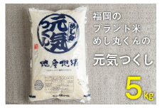 いつもの食卓に 「ちょっと贅沢な」福岡の美味しいお米 福岡の米 元気つくし 5kg [南国フルーツ 福岡県 筑紫野市 21760885]