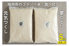 福岡県のブランド米 ! 「夢つくし2.5kg」 & 「元気つくし2.5kg」食べ比べ [南国フルーツ 福岡県 筑紫野市 21760883]
