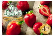 【期間限定発送】甘酸っぱい！酸味と甘味を楽しむ苺 福岡限定生産【冬】あまおう4パック [南国フルーツ 福岡県 筑紫野市 21760091] 苺 いちご イチゴ フルーツ 果物 くだもの 冷蔵