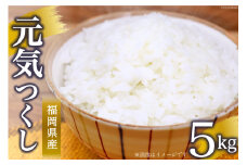 米 元気つくし 5kg 白米 精米 お米/ 松尾米穀店 / 福岡県 筑紫野市