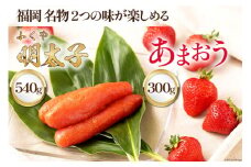 【期間限定発送】 福岡 名物 2つの味が楽しめる ! あまおう 300g×1 & ふくや味の明太子 540g×1 [南国フルーツ 福岡県 筑紫野市 21760206] 苺 いちご イチゴ 明太子 フルーツ 果物 くだもの セット ふくや めんたい  めんたいこ 冷蔵