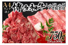 訳あり 博多和牛 A4以上 しゃぶしゃぶ すき焼き スライス 250g & 切り落とし 500g 計750g【部位おまかせ】/ MEAT PLUS / 福岡県 筑紫野市 [21760211] 牛肉 和牛 黒毛和牛 冷凍