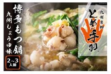 もつ鍋 【九州名物とめ手羽】 博多もつ鍋 セット 2~3人前 九州しょうゆ味 モツ鍋 国産牛 / フェリックス / 福岡県 筑紫野市 [21760273]