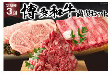 【3回 定期便 】 博多和牛 A4以上 満喫セット 総計1.75kg / MEAT PLUS / 福岡県 筑紫野市 [21760276] 牛肉 和牛 黒毛和牛 冷凍