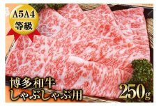 【数量限定】博多和牛 ロース しゃぶしゃぶ用 250g / 筑前屋 / 福岡県 筑紫野市 [21760385] 肉 牛肉 和牛 牛 ビーフ 国産牛 ブランド牛 焼肉 冷凍