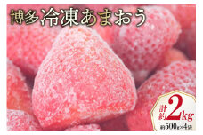 いちご 博多 冷凍あまおう 約500g×4袋 計約2kg [エイチアンドフューチャーズ 福岡県 筑紫野市 21760521] 果物 フルーツ 苺 イチゴ あまおう 冷凍いちご 冷凍苺 果実 ストロベリー ジャム用 福岡県産