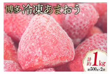 いちご 博多 冷凍あまおう 約500g×2袋 計約1kg [エイチアンドフューチャーズ 福岡県 筑紫野市 21760520] 果物 フルーツ 苺 イチゴ あまおう 冷凍いちご 冷凍苺 果実 ストロベリー ジャム用 福岡県産