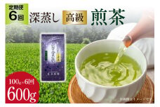 【 6回 定期便 】 茶 深蒸し 高級 煎茶 (深蒸し茶) 100g×1袋×6回 [ ベネフィス 福岡県 筑紫野市 21760996] お茶 緑茶 日本茶 八女茶 煎茶 茶葉 星野茶 八女 奥八女星野村