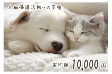犬猫保護活動への支援 1万円 [NPO法人セブンデイズ 福岡県 筑紫野市 21760725] 保護 動物 犬 猫 犬猫 保護犬 支援 応援 イヌ ネコ いぬ ねこ ペット動物愛護 愛護 保護活動