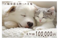 犬猫保護活動への支援 10万円 [NPO法人セブンデイズ 福岡県 筑紫野市 21760726] 保護 動物 犬 猫 犬猫 保護犬 支援 応援 イヌ ネコ いぬ ねこ ペット動物愛護 愛護 保護活動