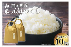 米 元気つくし 精米 5kg × 2袋 計 10kg [ベネフィス 福岡県 筑紫野市 21760895] お米 白米 福岡県産 穀物 もちもち