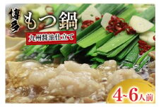 博多もつ鍋 セット (九州醤油仕立て) 4～6人前 [ベネフィス 福岡県 筑紫野市 21760997] 鍋 もつ鍋 モツ鍋 もつ モツ 醤油 しょうゆ 博多 福岡 国産 国産牛 本場 ホルモン 冷凍