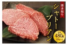 肉 博多和牛 シャトーブリアン 120g×4枚 計480g [くしだ企画 福岡県 筑紫野市 21760611] 牛肉 牛 和牛 ステーキ ヒレ ひれ ヒレ肉 牛ヒレ 冷凍 福岡県産