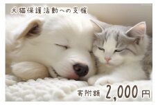 犬猫保護活動への支援 2000円 [NPO法人セブンデイズ 福岡県 筑紫野市 21760723] 保護 動物 犬 猫 犬猫 保護犬 支援 応援 イヌ ネコ いぬ ねこ ペット動物愛護 愛護 保護活動