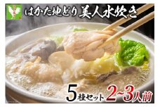 はかた地どり 美人水炊きセット 鶏肉2種 スープ 麺 コラーゲン 計5種 2～3人前 [MEAT PLUS 福岡県 筑紫野市 21760711] 水炊き セット 鶏 鶏肉 とり肉 鶏団子 福岡 博多 国産
