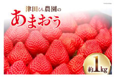 【期間限定発送】 いちご 津田くん農園のあまおう 約1kg [くしだ企画 福岡県 筑紫野市 21761180] 苺 あまおう イチゴ 福岡 期間限定