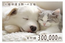 犬猫保護活動への支援 30万円 [NPO法人セブンデイズ 福岡県 筑紫野市 21760731] 保護 動物 犬 猫 犬猫 保護犬 支援 応援 イヌ ネコ いぬ ねこ ペット動物愛護 愛護 保護活動