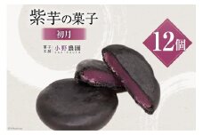お菓子 筑紫野 初月12個入 [菓子工房 小野農園 福岡県 筑紫野市 21760730] 和菓子 個包装 芋菓子 いも菓子 おやつ スイーツ 紫芋 芋 お芋 むらさきいも