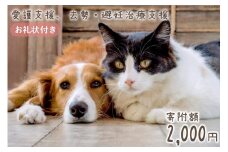 愛護支援、去勢・避妊治療支援 2000円 [Animal Care Salvation 福岡県 筑紫野市 21760765] 動物 ペット 愛護 TNR 保護 動物福祉 保護施設 里親 犬 猫 イヌ ネコ いぬ ねこ 動物愛護 保護活動 支援