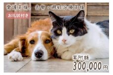 愛護支援、去勢・避妊治療支援 30万円 [Animal Care Salvation 福岡県 筑紫野市 21760766] 動物 ペット 愛護 TNR 保護 動物福祉 保護施設 里親 犬 猫 イヌ ネコ いぬ ねこ 動物愛護 保護活動 支援
