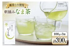 お茶 八女茶 ゆげさん家の朝摘みなま茶 300g(100g×3袋）[Esprit 福岡県 筑紫野市 21761023] 茶葉 新芽 煎茶 摘みたて 茶殻 