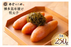 白金にし田特製 博多昆布漬け 明太子 3本 計250g [白金にし田 福岡県 筑紫野市 21760797] めんたいこ 冷凍