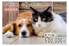 愛護支援 去勢 避妊治療支援 50万円分 [Animal Care Salvation 福岡県 筑紫野市 21760891] 動物 ペット 愛護 TNR 保護 動物福祉 保護施設 里親 犬 猫 イヌ ネコ いぬ ねこ 動物愛護 保護活動 支援
