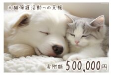 犬猫保護活動への支援 50万円分 [NPO法人セブンデイズ 福岡県 筑紫野市 21760893] 保護 動物 犬 猫 犬猫 保護犬 支援 応援 愛護