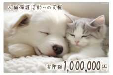 犬猫保護活動への支援 100万円分 [NPO法人セブンデイズ 福岡県 筑紫野市 21760892] 保護 動物 犬 猫 犬猫 保護犬 支援 応援 イヌ ネコ いぬ ねこ ペット動物愛護 愛護 保護活動