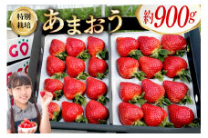 いちご あまおう EX 約 450g 2パック 約900g [ONEGO 福岡県 筑紫野市 21760878] 苺 贈答用 イチゴ フルーツ 果物 特別栽培 福岡県産