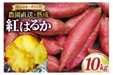 さつまいも 紅はるか 10kg [いしばし農園 福岡県 筑紫野市 21760965] さつま芋 べにはるか 10キロ 芋 お芋 オーガニック 有機 熟成