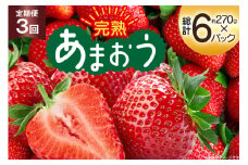 【期間限定発送】 いちご 3回 定期便 福岡県産 完熟 博多 あまおう 270g 2p 総計6p [mhshops 福岡県 筑紫野市 21761226] イチゴ 苺 フルーツ 果物 くだもの 2パック