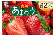 【期間限定発送】 いちご 3回 定期便 福岡県産 完熟 博多 あまおう 270g 4p 総計12p [mhshops 福岡県 筑紫野市 21761227] イチゴ 苺 フルーツ 果物 くだもの 4パック