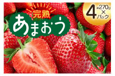 【期間限定発送】 いちご 完熟 あまおう 約270g 4p [mhshops 福岡県 筑紫野市 21761028] イチゴ 苺 フルーツ 果物 くだもの 2パック