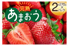 【期間限定発送】 いちご 完熟 あまおう 約270g 2p [mhshops 福岡県 筑紫野市 21761027] イチゴ 苺 フルーツ 果物 くだもの 2パック