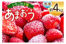 いちご 冷凍 あまおう 約4kg [mhshops 福岡県 筑紫野市 21761025] 冷凍いちご 冷凍イチゴ イチゴ 苺
