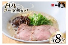 ラーメン 九州 一風堂 白丸ラー麦麺 セット [フーデリジェンス 福岡県 筑紫野市 21761093] 博多 ラーメンセット らーめん 細麺 とんこつ とんこつラーメン